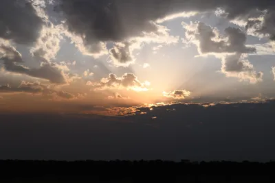 DSC_3705 (Large).JPG